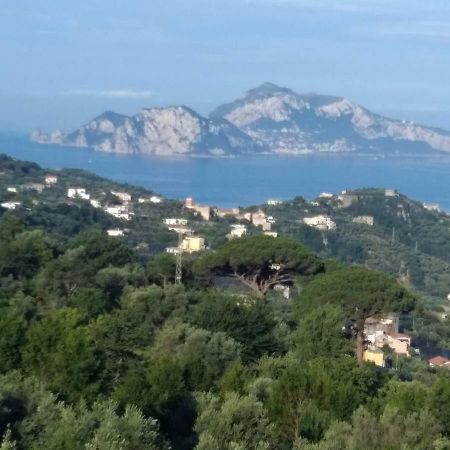 Apartmán La Vista Sul Golfo Massa Lubrense Exteriér fotografie