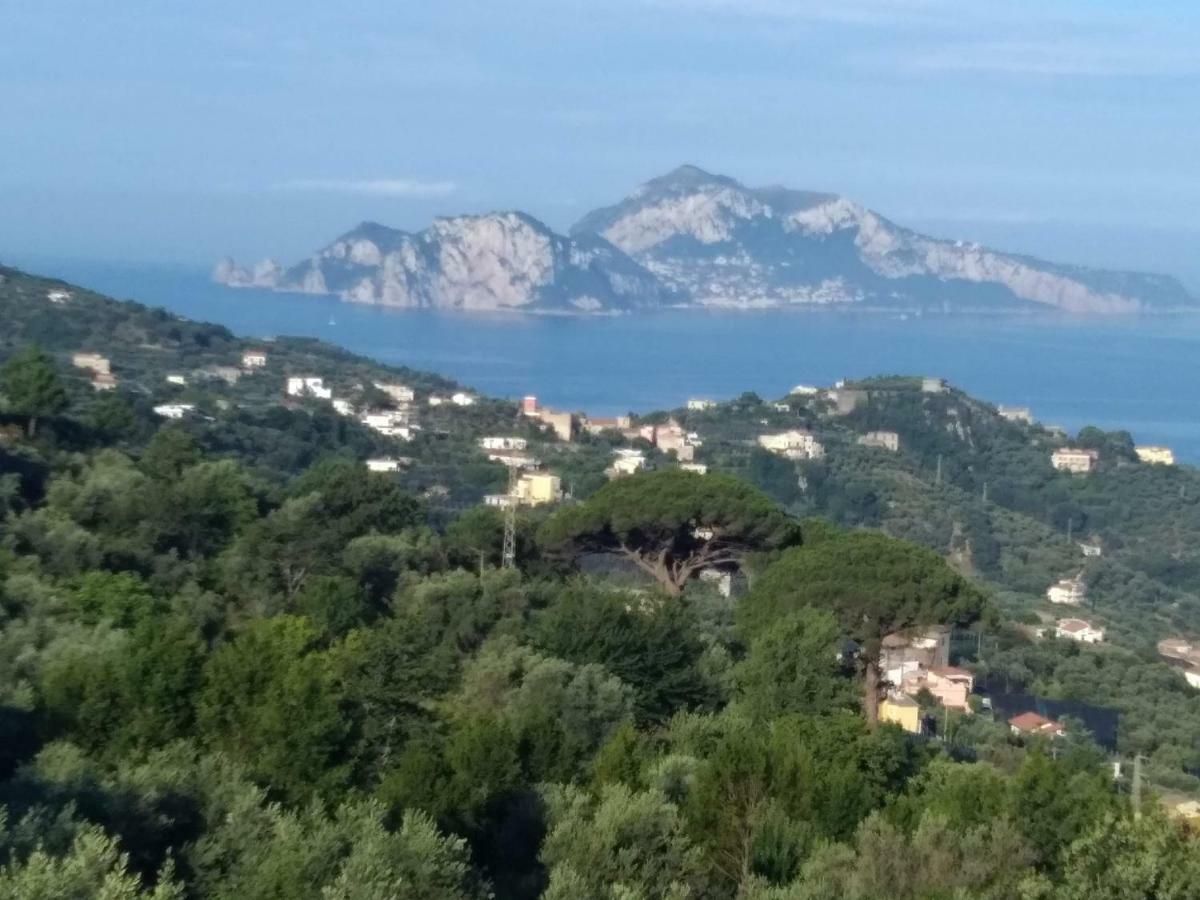 Apartmán La Vista Sul Golfo Massa Lubrense Exteriér fotografie