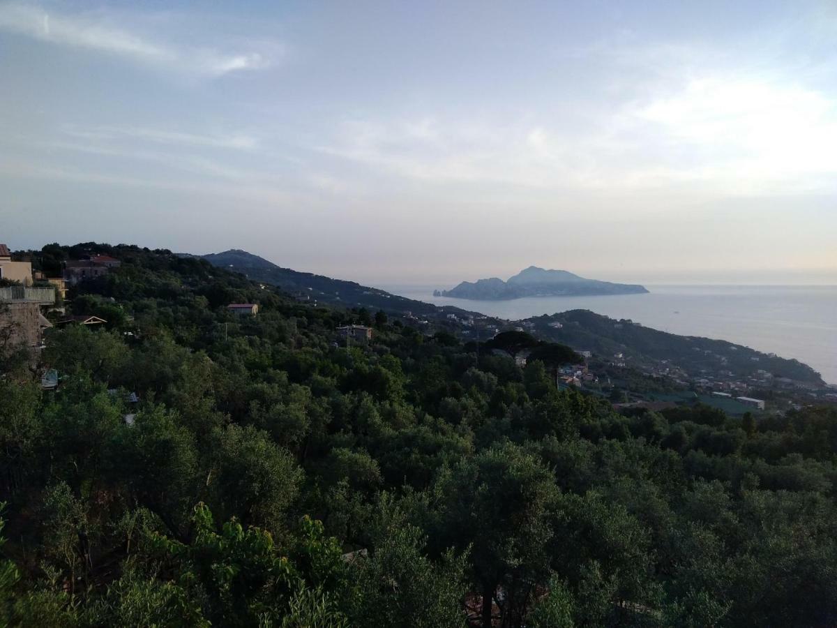 Apartmán La Vista Sul Golfo Massa Lubrense Exteriér fotografie